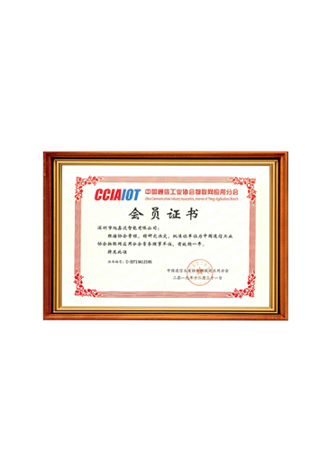 Member of China Communication Industry Association