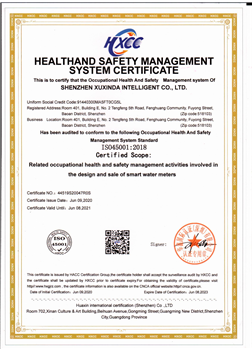 职业健康安全体系认证证书--英文