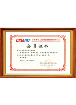Member of China Communication Industry Association
